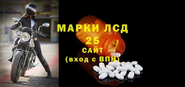 ПСИЛОЦИБИНОВЫЕ ГРИБЫ Тутаев