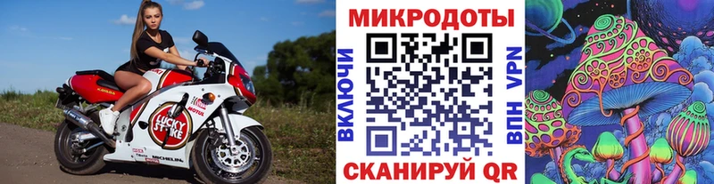 Псилоцибиновые грибы мицелий  Комсомольск-на-Амуре 
